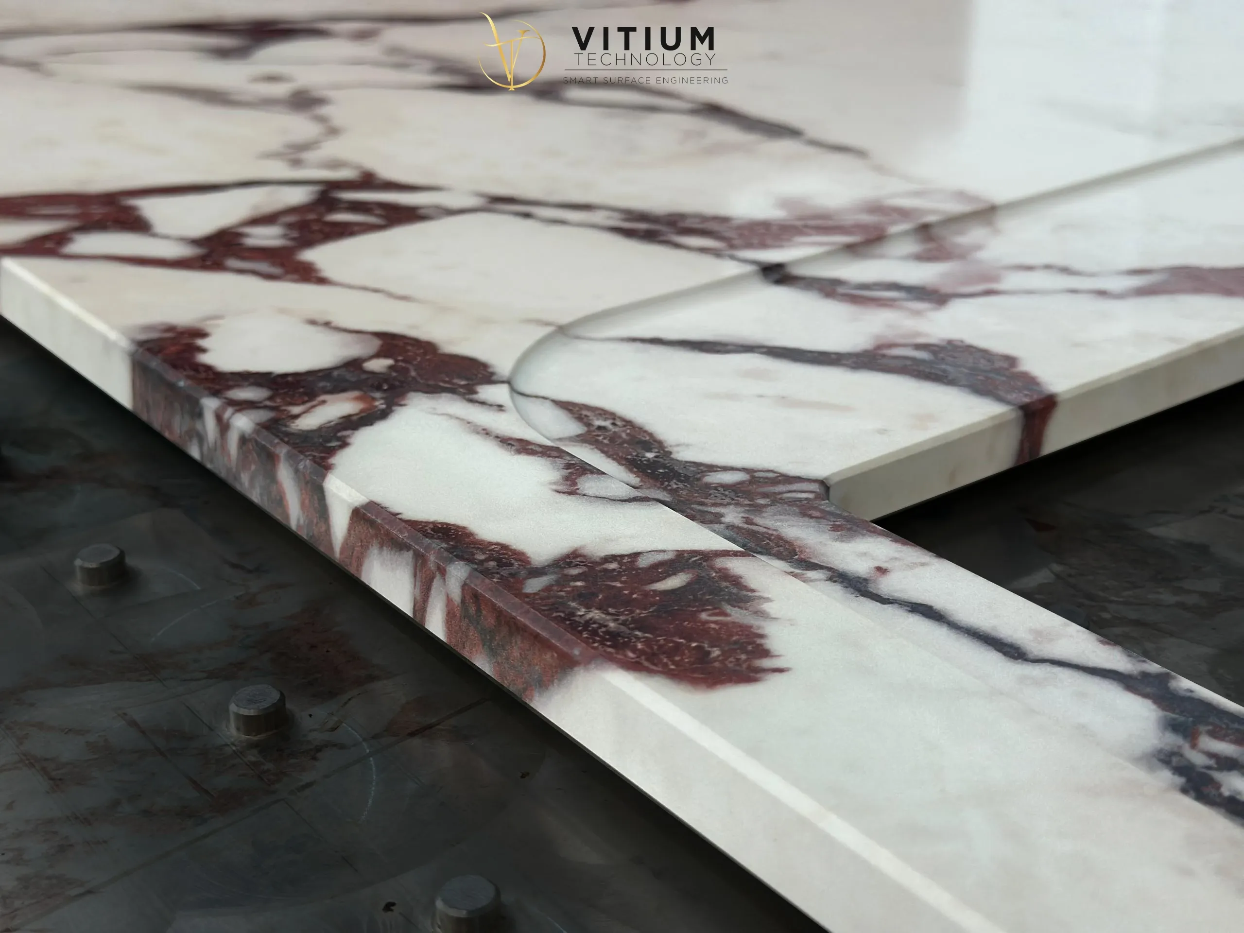 Vitium Gallery Showcase 6